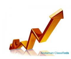 Vision tech it solution