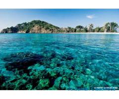 Budget Group tour package 