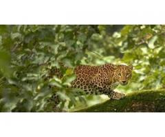 Adventure Tour Packages In Nagpur